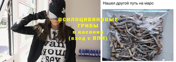 apvp Баксан